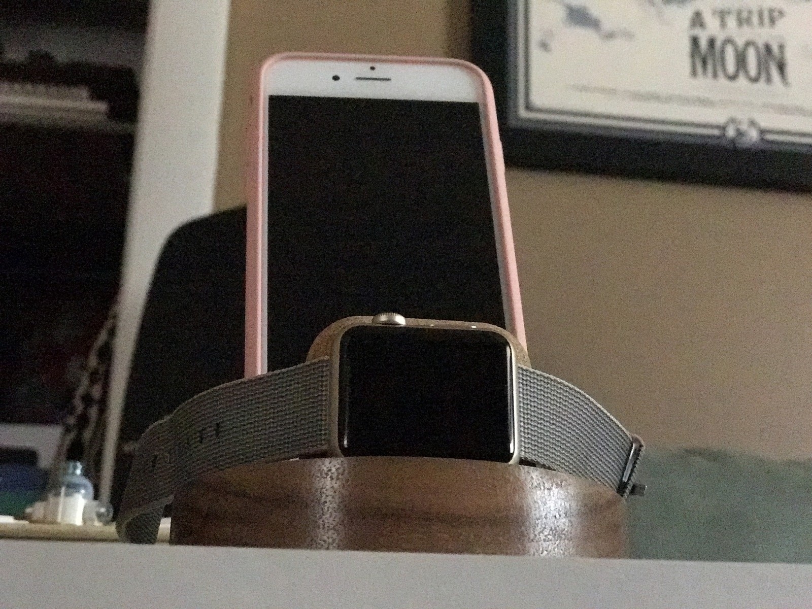 So sánh ảnh chụp xóa phông của iPhone 7 Plus với máy DSLR 12