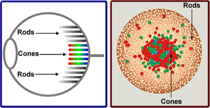 Sự khác nhau giữa camera kép và 2 camera trên điện thoại 3
