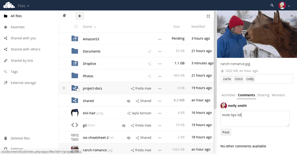 Giao diện của OwnCloud