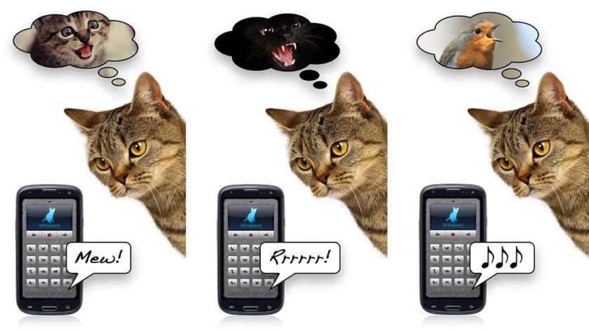 Human-to-animal Translators Human-to-animal Translators