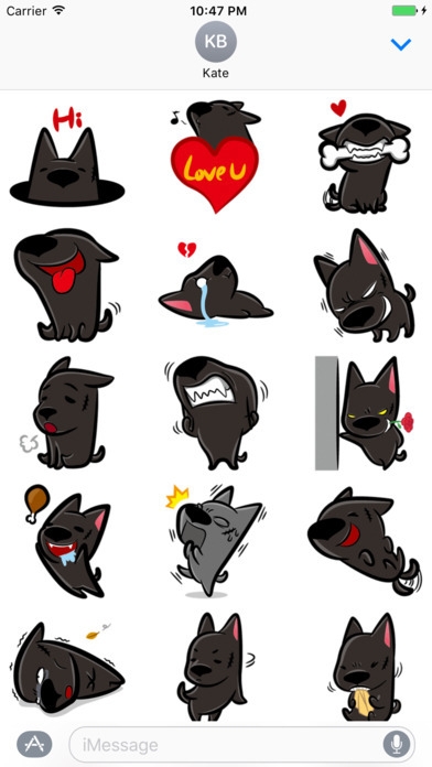 Little Dog Little Dog