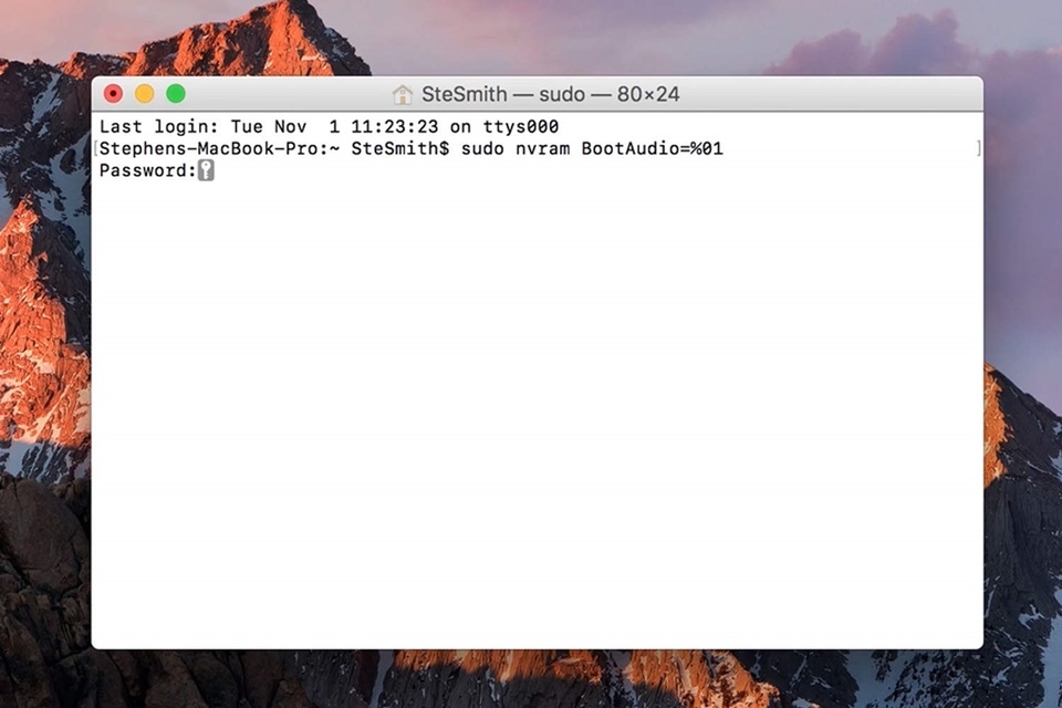 Nhập dòng lệnh vào Terminal