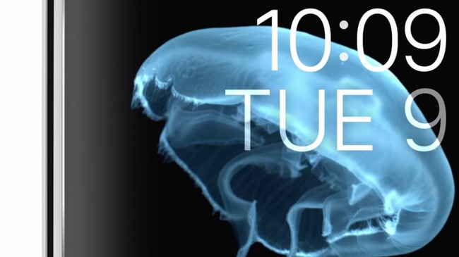 Hình con sứa trên Apple Watch