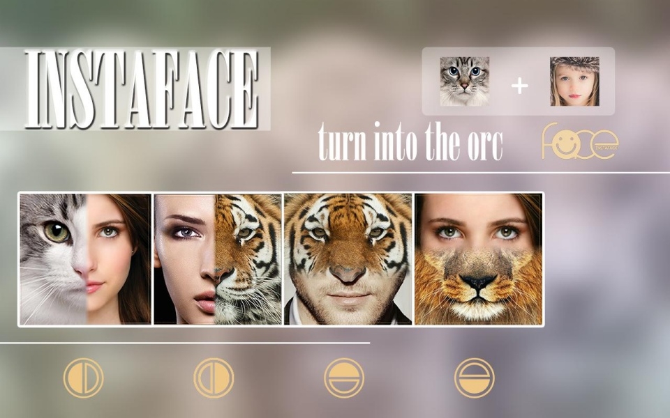 4. InstaFace