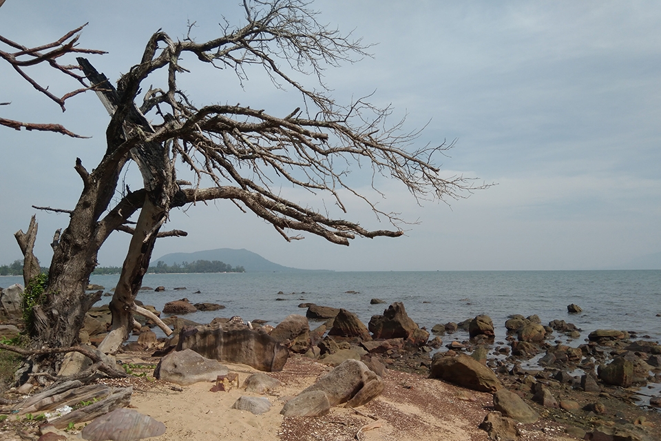 Ảnh chụp từ nokia 6