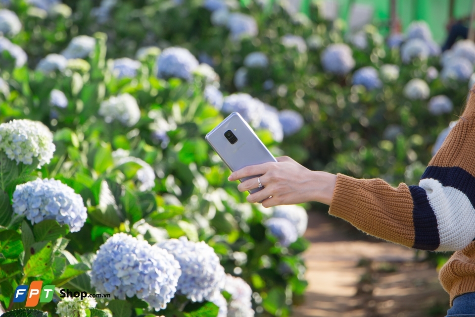 A8 2018 tim bac cam  tu cau