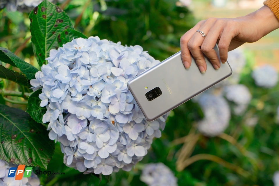 A8 2018 tim bac cam  tu cau