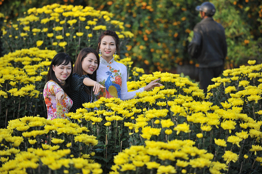 Chụp bộ ảnh xuân