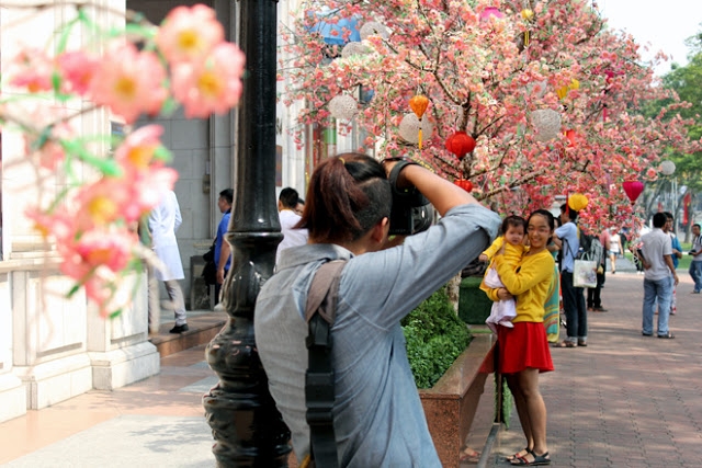 Chụp bộ ảnh xuân