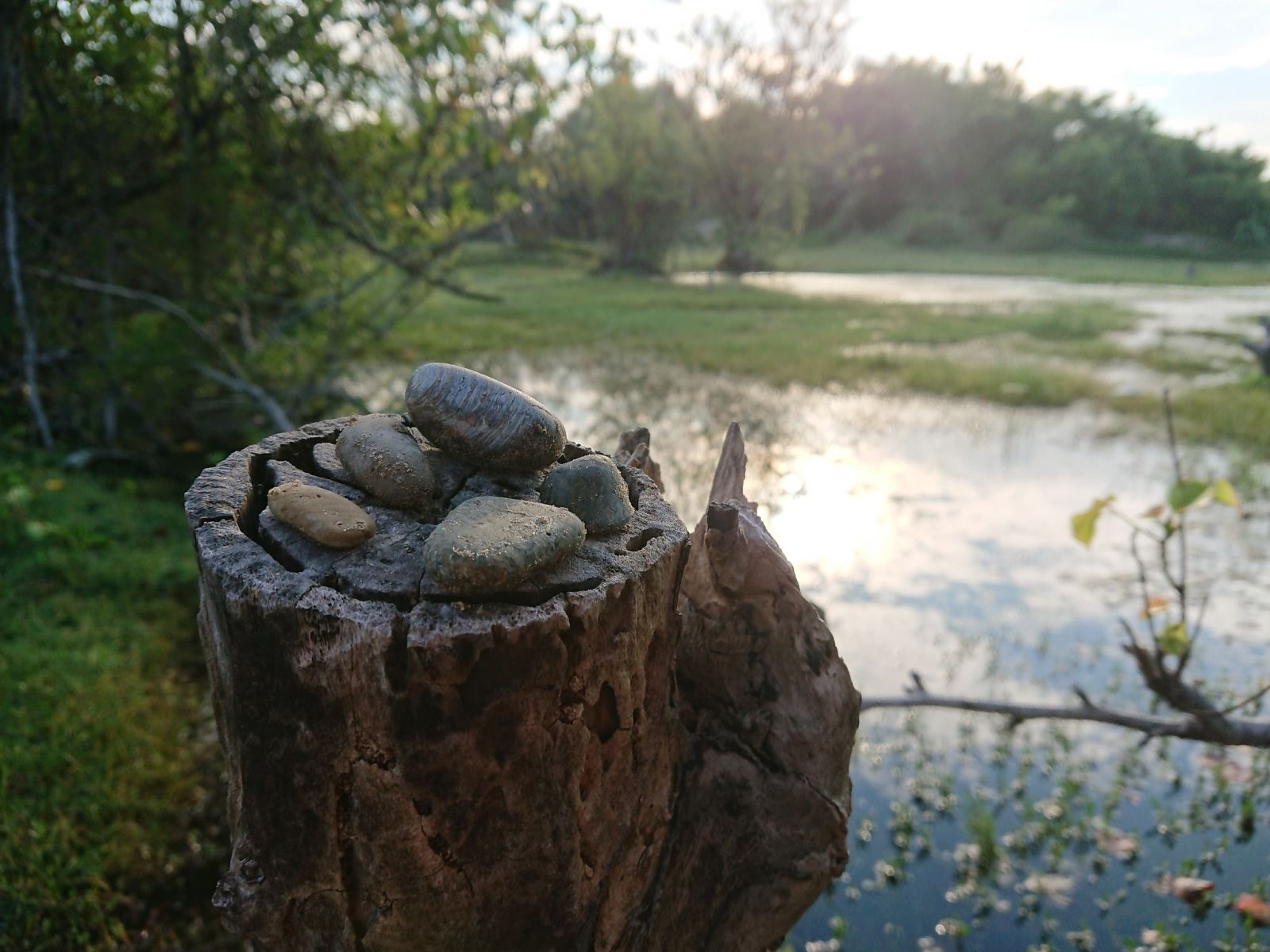 So sánh camera giữa Xperia XZ Premium và HTC U11