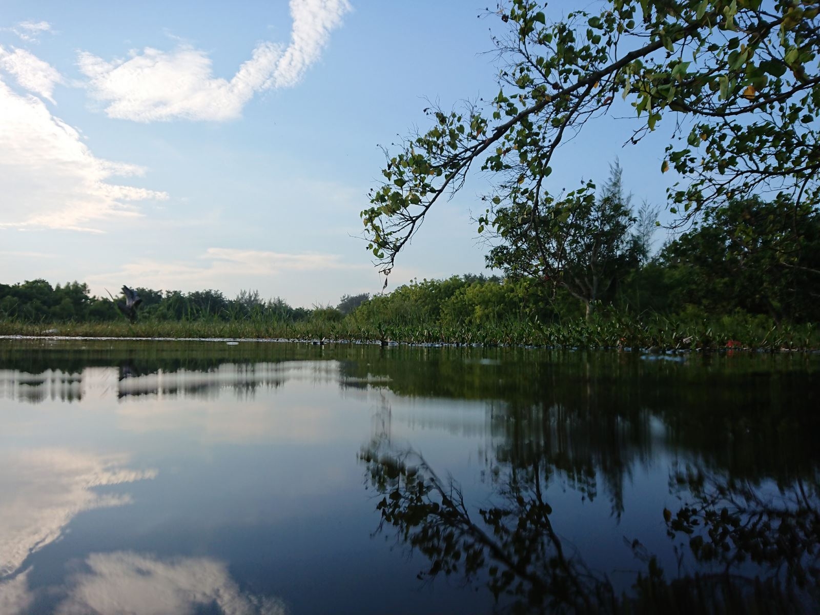So sánh camera giữa Xperia XZ Premium và HTC U11