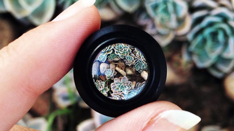 Các loại lens cho điện thoại phổ biến hiện nay Các loại lens cho điện thoại phổ biến hiện nay