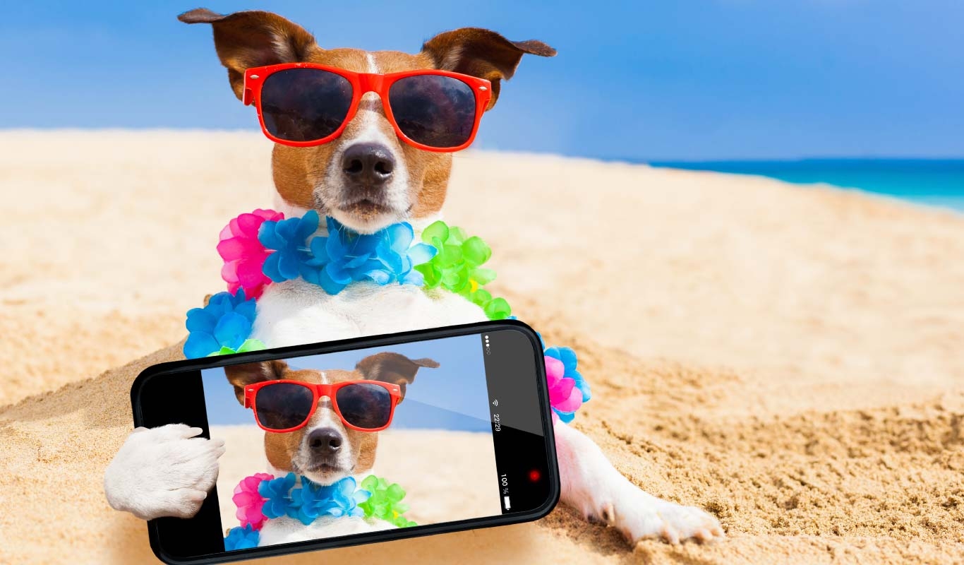 Làm thế nào để chọn smartphone 4G 2 sim tốt nhất?