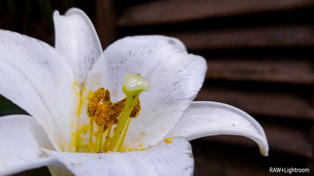 Khả năng chụp ảnh của siêu phẩm LG G6 ảo dịu thế nào?