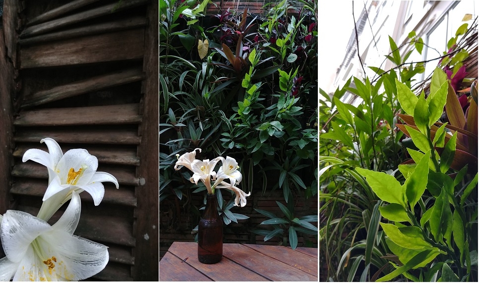 Khả năng chụp ảnh của siêu phẩm LG G6 ảo dịu thế nào?