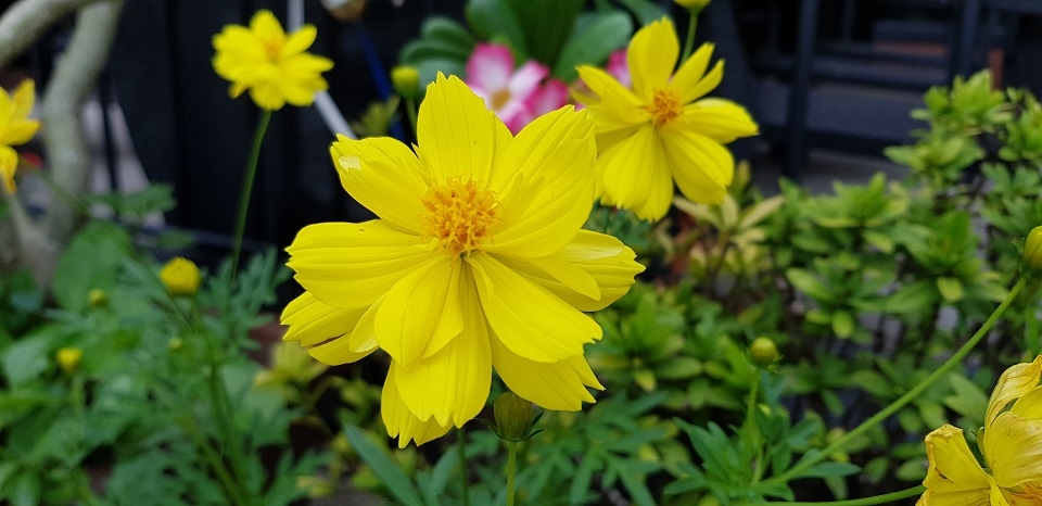 Chụp ảnh đẹp với Galaxy S8: Tưởng dễ nhưng đâu khó? Chụp ảnh đẹp với Galaxy S8: Tưởng dễ nhưng đâu khó?