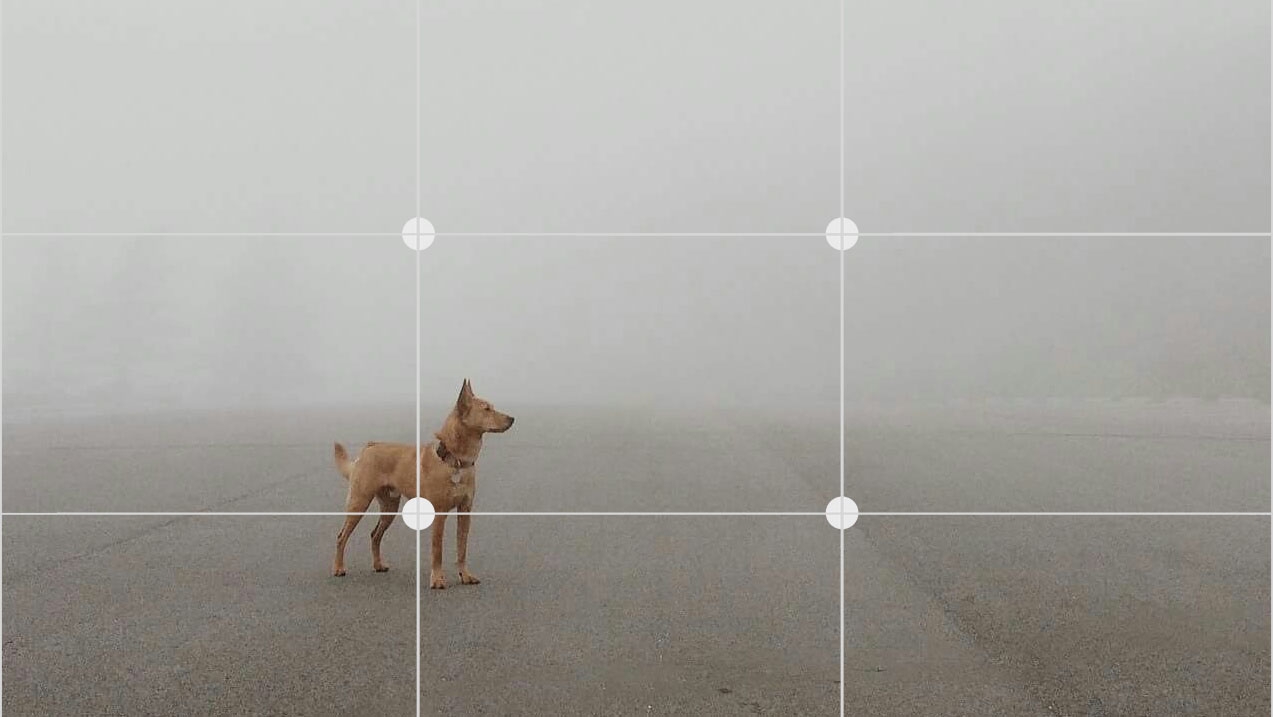 Chụp ảnh đẹp với Galaxy S8: Tưởng dễ nhưng đâu khó? Chụp ảnh đẹp với Galaxy S8: Tưởng dễ nhưng đâu khó?