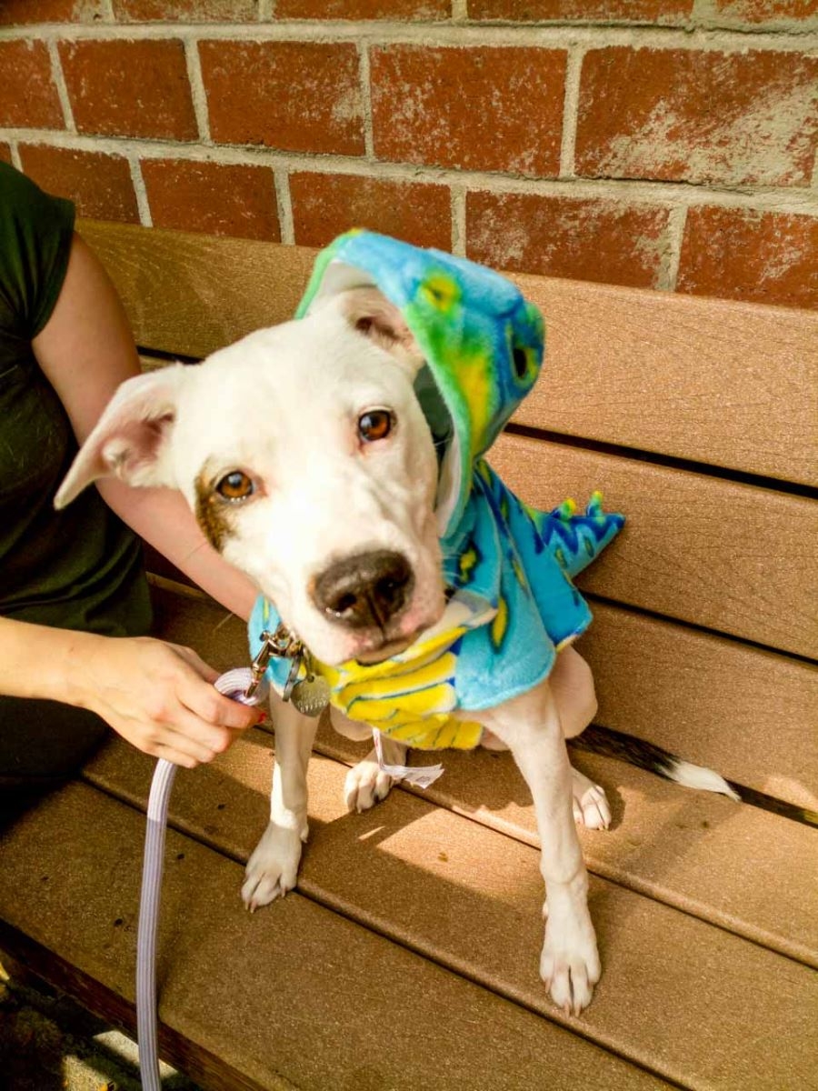 Ảnh chụp từ Infinix Zero 4