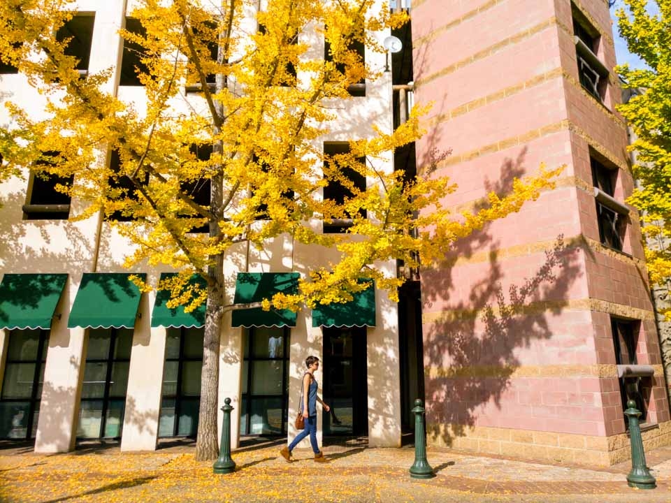 Ảnh chụp từ Infinix Zero 4 ảnh 3