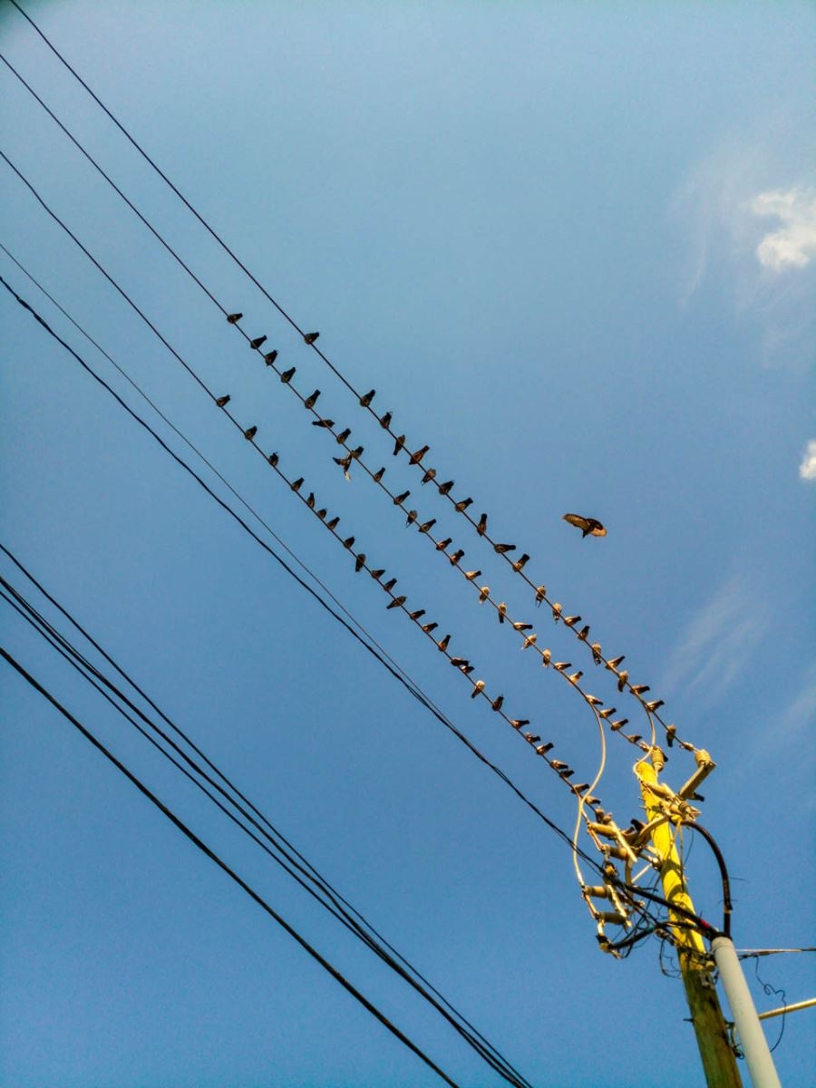 Ảnh chụp từ Infinix Zero 4 ảnh 2