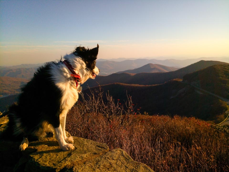 Infinix Zero 4 cho khả năng chụp ảnh ấn tượng