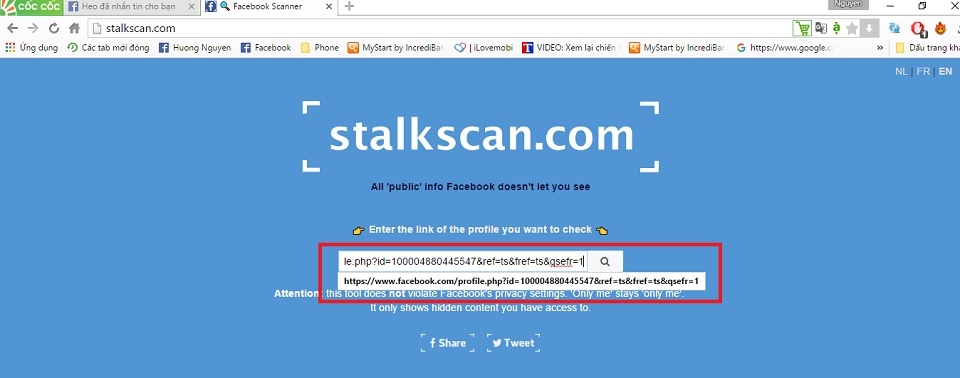 Bước 2 dán link vào Stalkscan