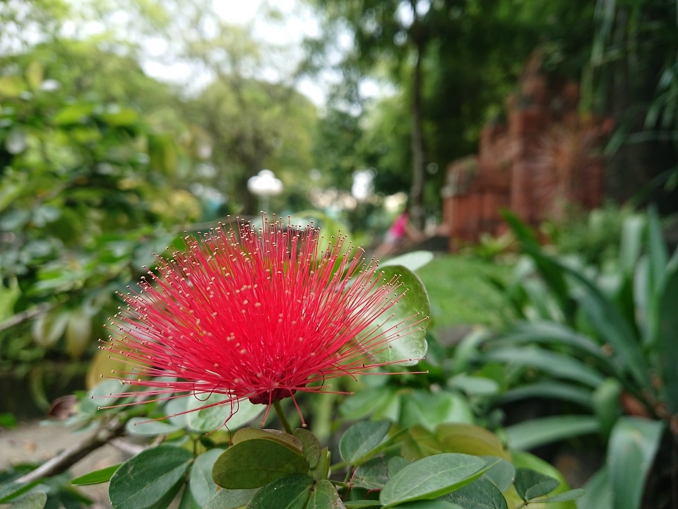 Đánh giá Xperia XZ1: Smartphone cao cấp đến từ Sony (ảnh 6)