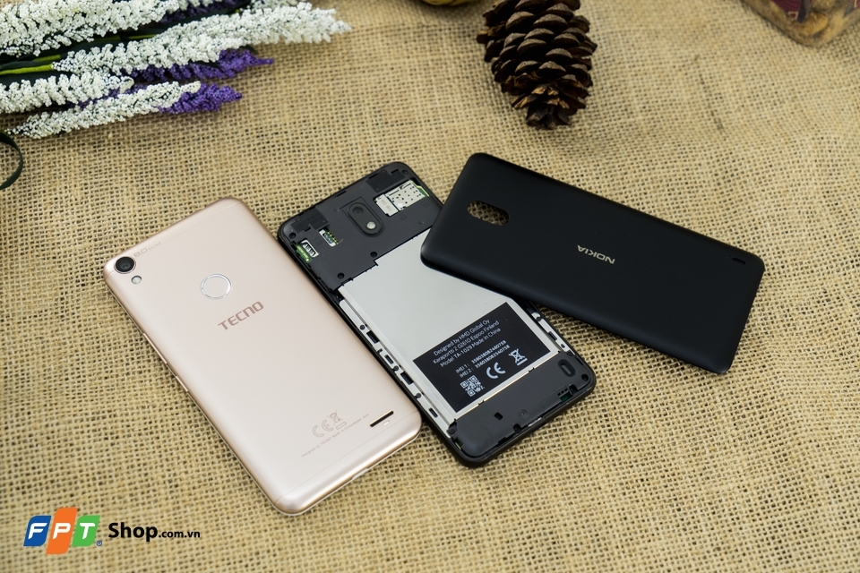 So sánh TECNO WX4 và Nokia 2 (Ảnh 2)