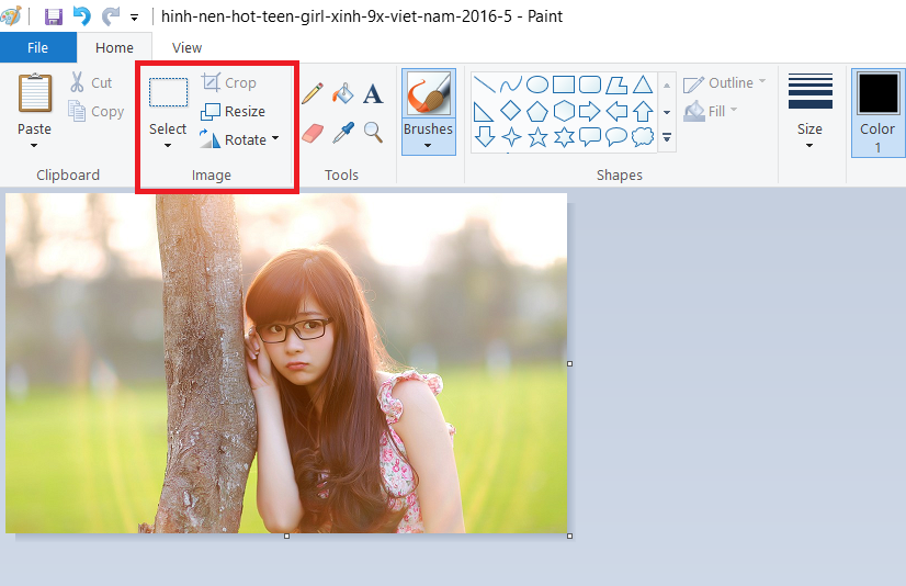 Hướng dẫn sử dụng phần mềm Paint Hướng dẫn sử dụng phần mềm Paint