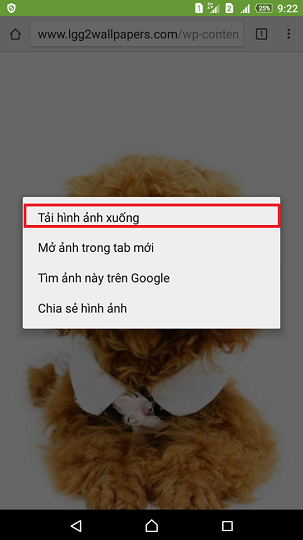 Hướng dẫn tải hình nền cho LG G2 siêu dễ thương Hướng dẫn tải hình nền cho LG G2 siêu dễ thương