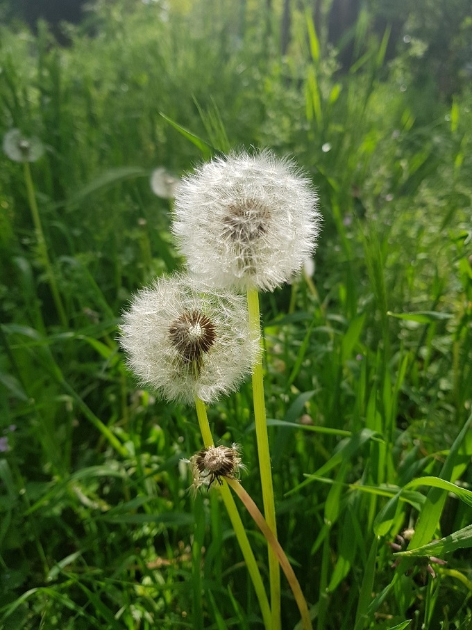 so sánh Galaxy S8 so sánh Galaxy S8