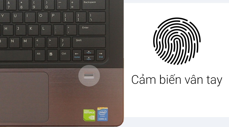 Cảm biến vân tay cho laptop có cần thiết không?
