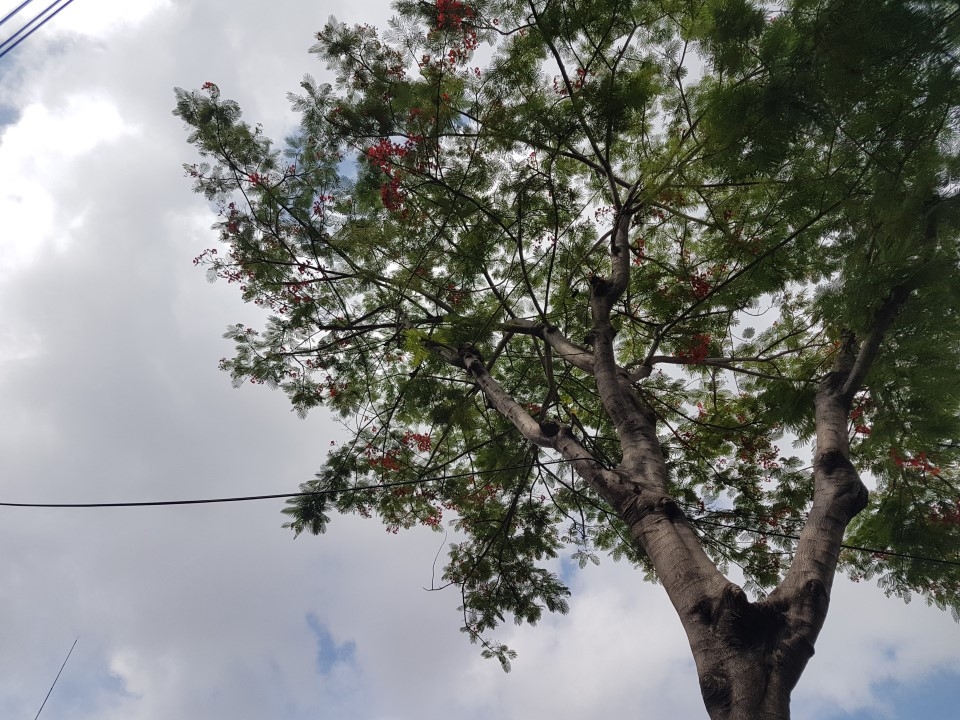 So sánh nhanh camera Galaxy S7 và iPhone 6 trong nhiều điều kiện