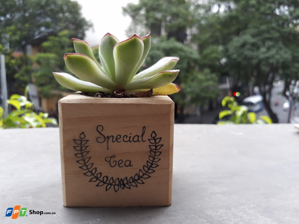 Chụp chậu sen đá bằng Galaxy J7 Prime