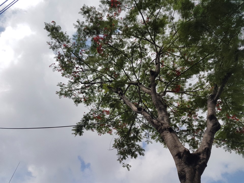 Samsung Galaxy S7: Xứng tầm siêu phẩm camera
