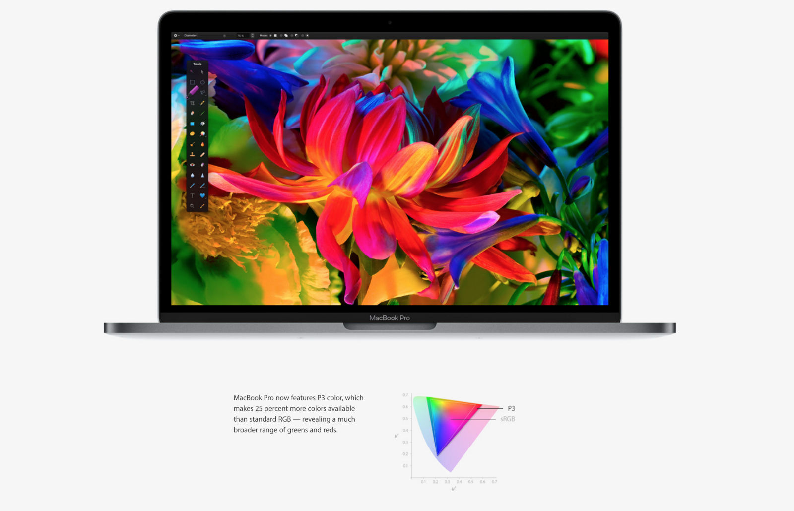Màn hình cho khả năng hiển thị vượt trội