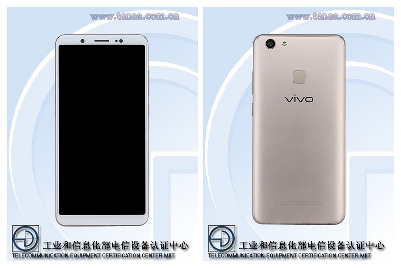 Hình ảnh Vivo V79 xuất hiện trên cơ quan TENAA