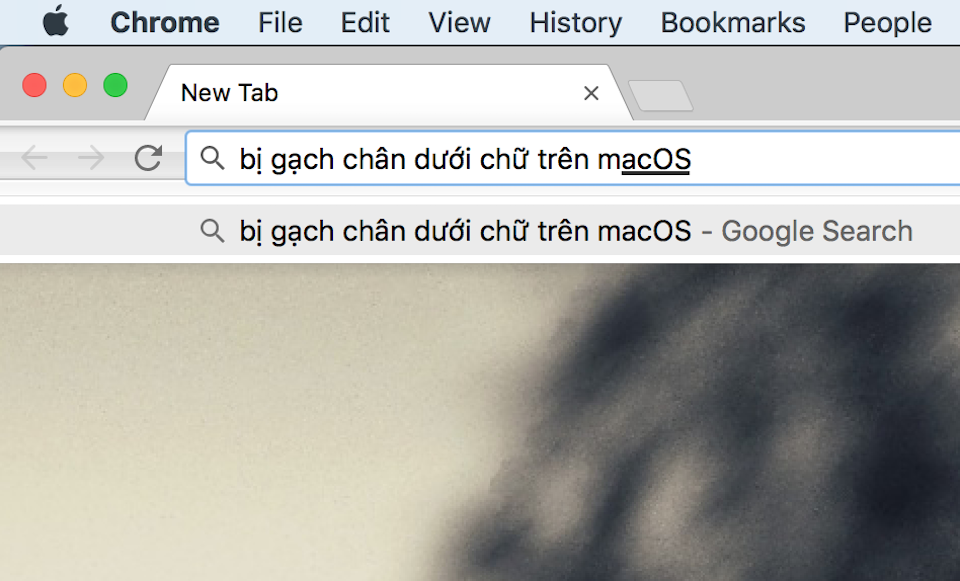 Mỗi khi gõ tiếng Việt trên macOS, người dùng sẽ thấy dấu gạch chân ngay bên dưới chữ.