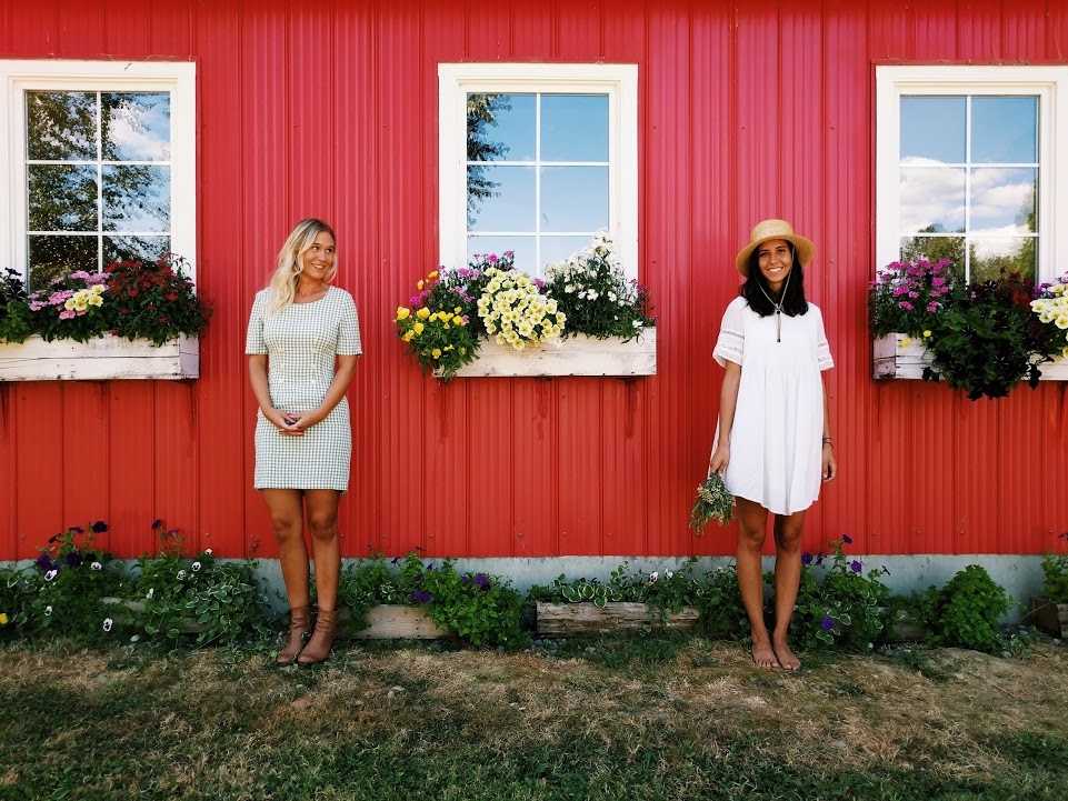 Chiêm ngưỡng bộ ảnh “đẹp không tì vết” được chụp từ camera sau của Google Pixel và Pixel XL Chiêm ngưỡng bộ ảnh “đẹp không tì vết” được chụp từ camera sau của Google Pixel và Pixel XL