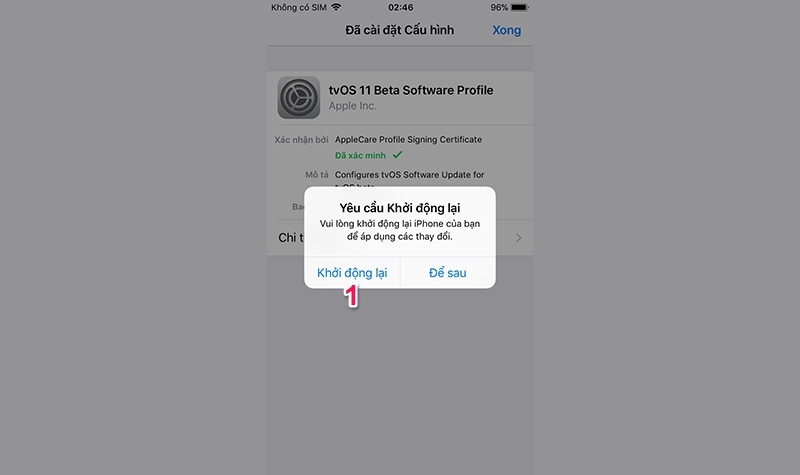 Hướng dẫn chặn thông báo cập nhật iOS mới nhất! (Ảnh 4)