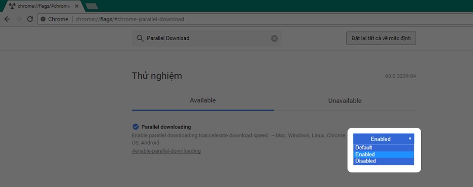 Hướng dẫn kích hoạt tăng tốc độ download trên Chrome (Ảnh 4) Hướng dẫn kích hoạt tăng tốc độ download trên Chrome (Ảnh 4)