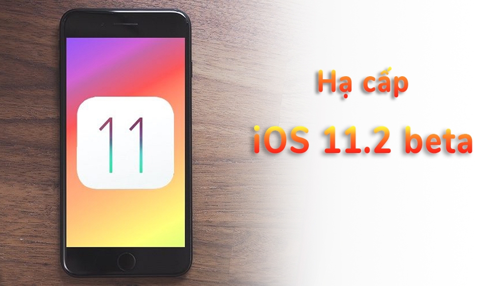 Hạ cấp phiên bản iOS 11.2 beta xuống phiên bản cũ hơn (Ảnh 1)