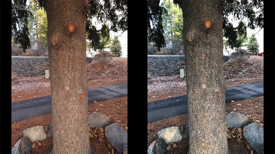 So sánh nhanh ảnh chụp từ iPhone X và Galaxy Note 8 (Ảnh 4) So sánh nhanh ảnh chụp từ iPhone X và Galaxy Note 8 (Ảnh 4)