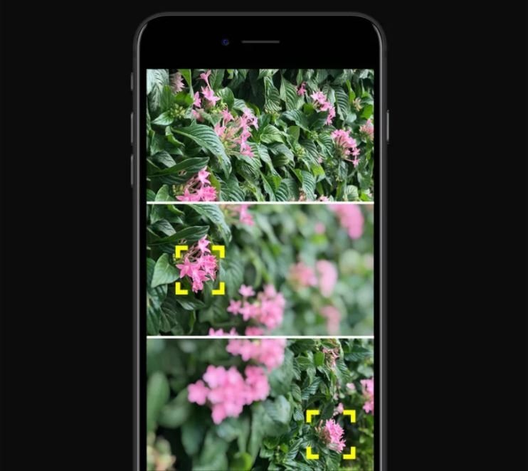Tùy chỉnh bokeh và xóa phông ảo diệu với Focus (Ảnh 4)