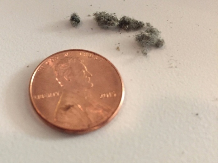 Đây là 8 mẹo hay cho iPhone mà 99% iFan chưa biết Đây là 8 mẹo hay cho iPhone mà 99% iFan chưa biết