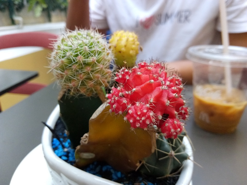 Test Macro Meizu U20