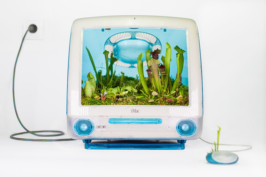 Máy iMac G3 Máy iMac G3