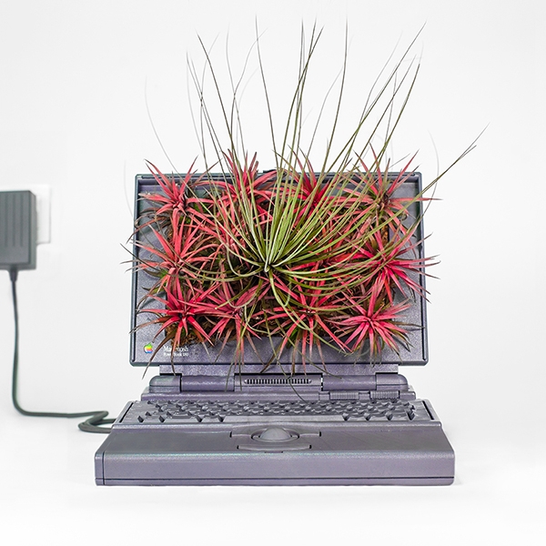 Powerbook Powerbook