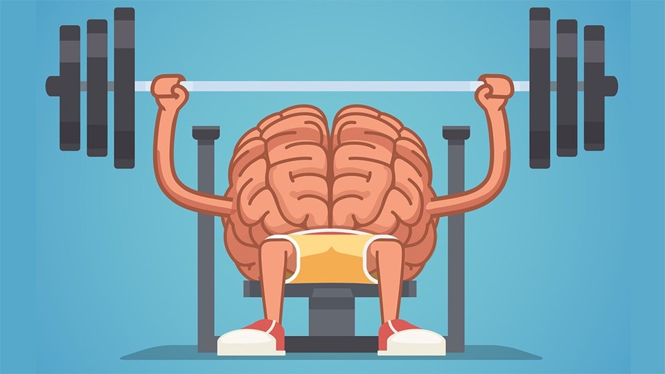 Brain Training Brain Training