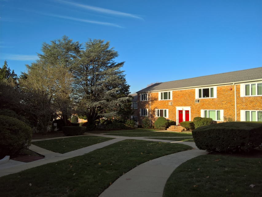 Lumia 950 camera sample